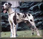 Continent�l F�ra�