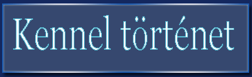 Kennel t�rt�net