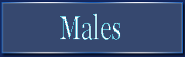 Males, R�den