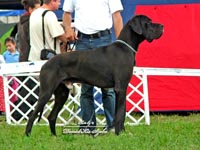 folton folt wildboy at hillonyx